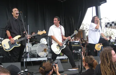 The Adolescents