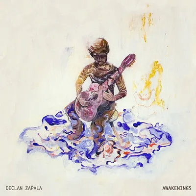 Declan Zapala