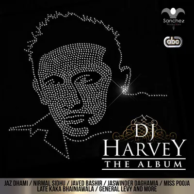 DJ Harvey