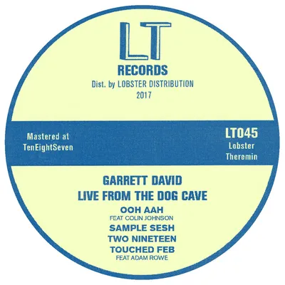 Garrett David