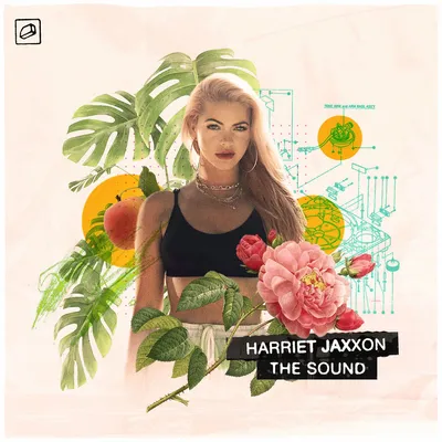 Harriet Jaxxon