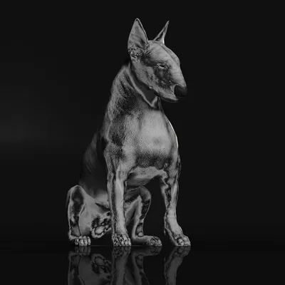 Riskee & The Ridicule