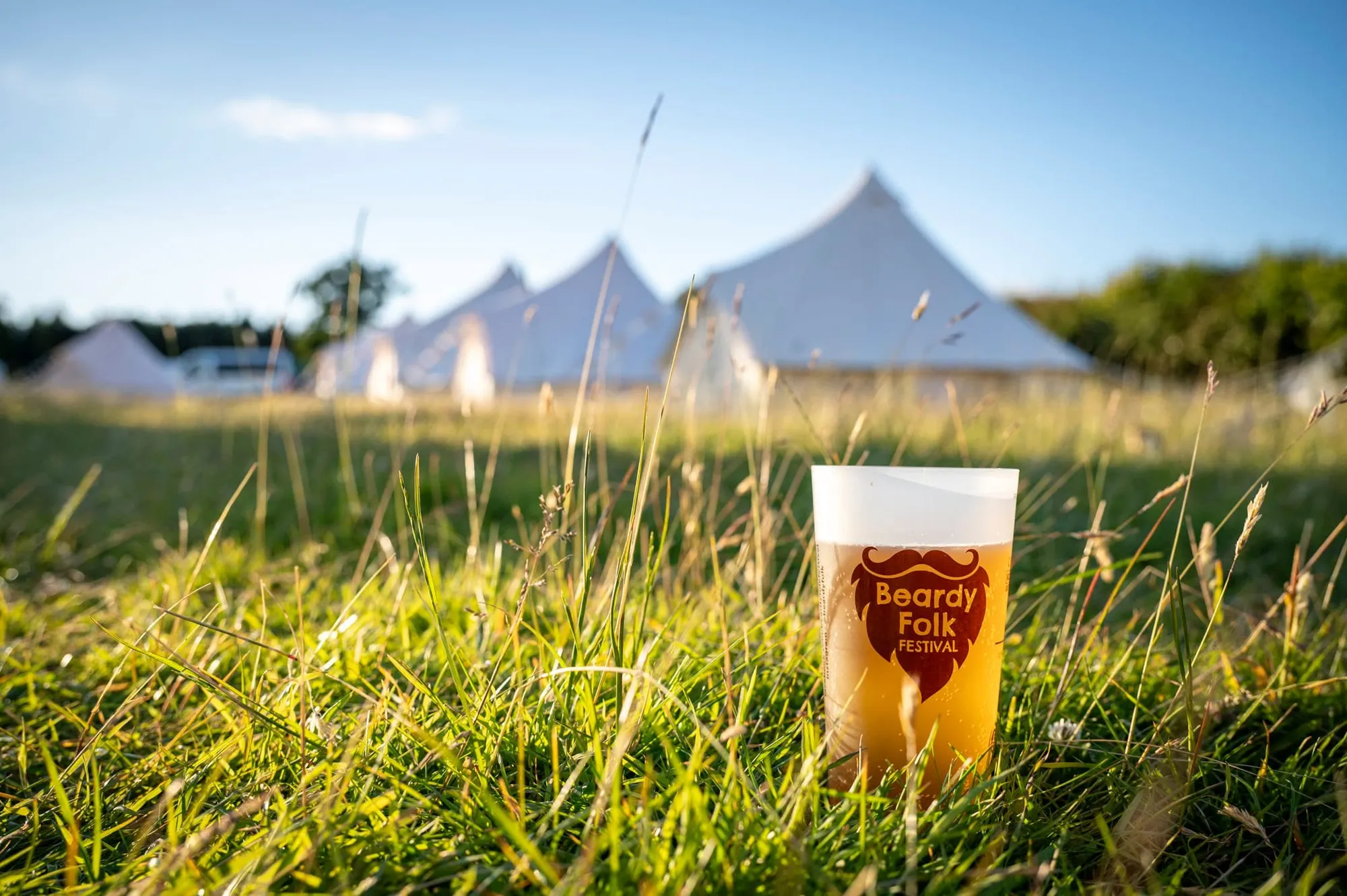 Beardy Folk Festival