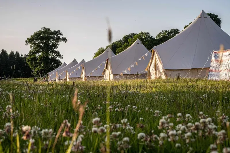 Orbit Wellbeing Festival