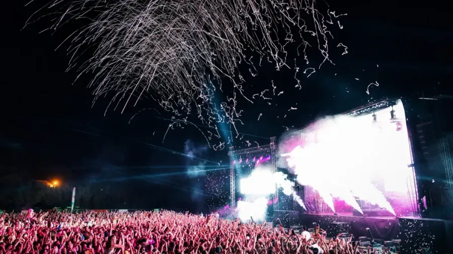 Summer Vibes Festival