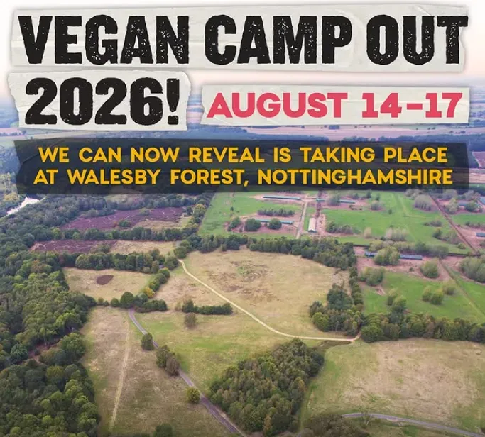Vegan Camp Out