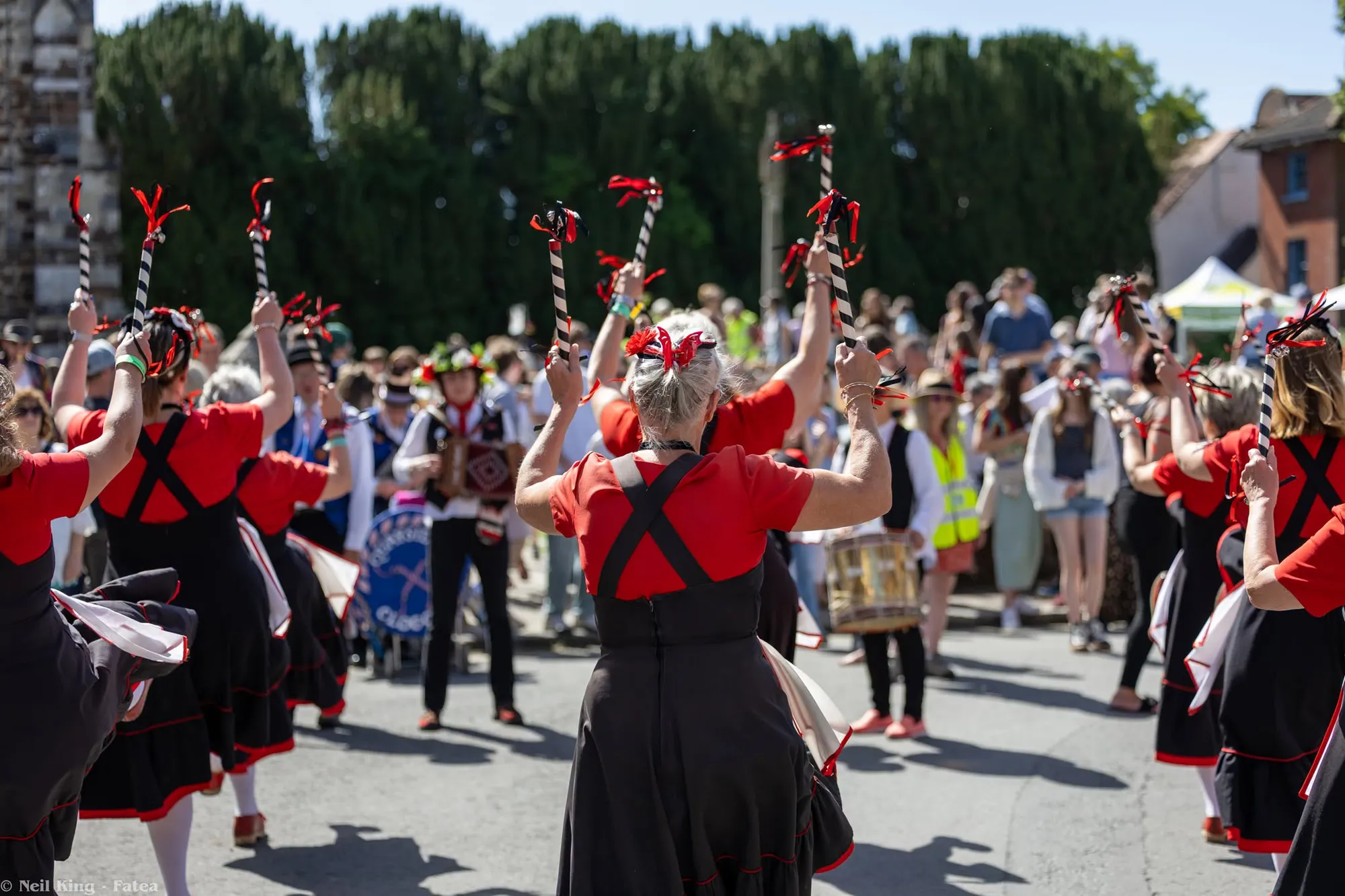 Wimborne Minster Folk Festival