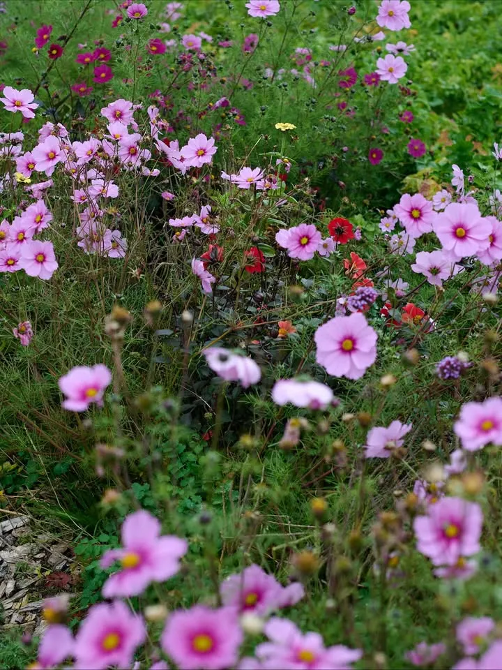 Worthy Earth Festival